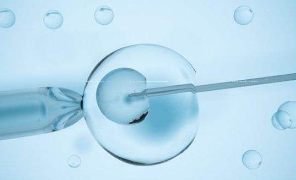 试管移植冻胚怎么提高成功率，这8个注意事项必须要做到