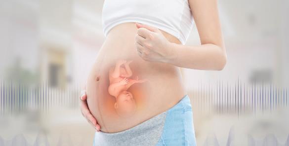 试管移植黄体酮减量黄体酮减量不影响妊娠率
